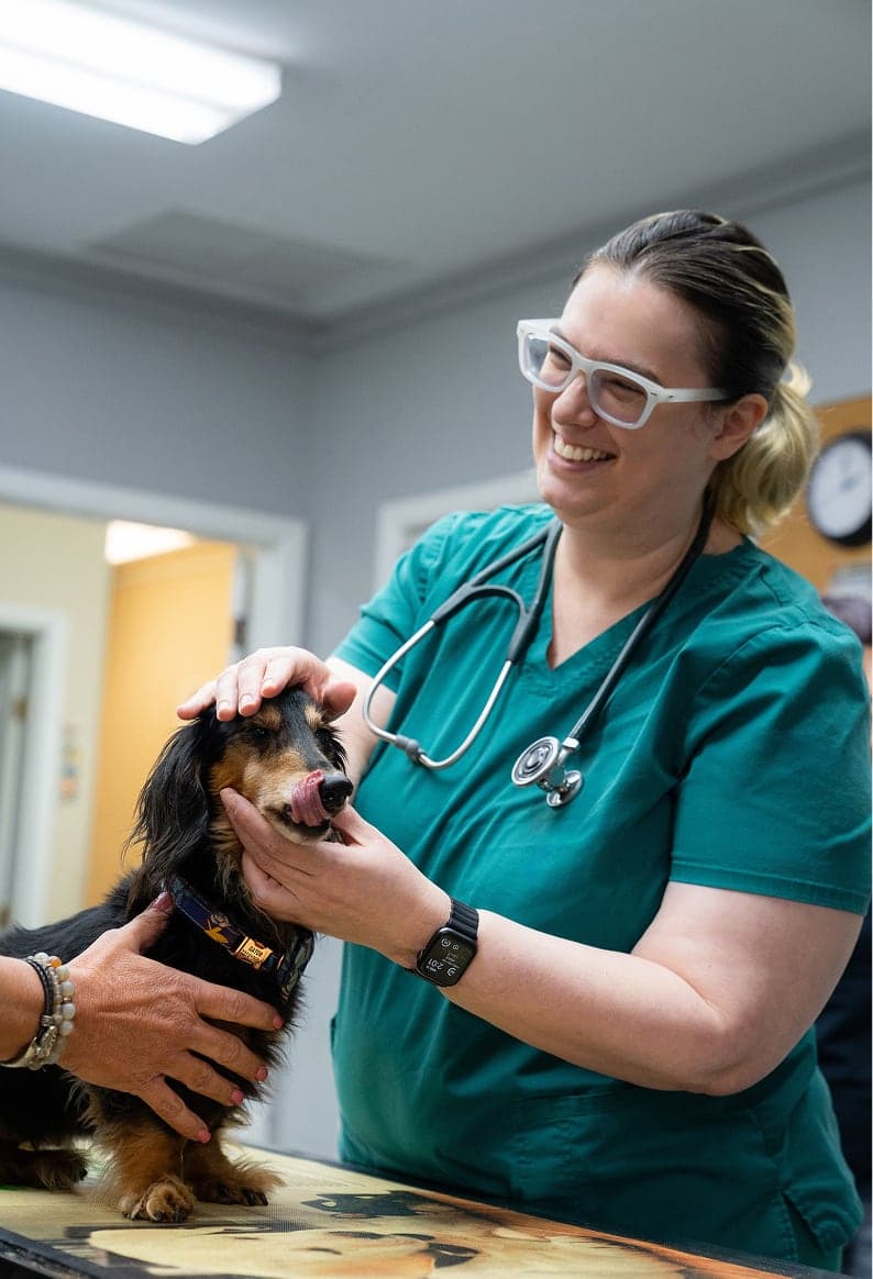 Veterinarian with dog