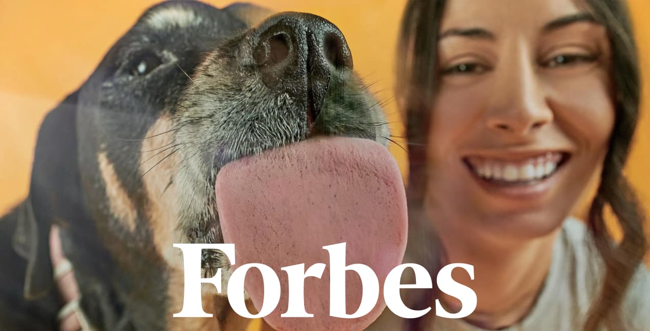 Longer Leash On Life: Inside The Dog Longevity Startup article thumbnail