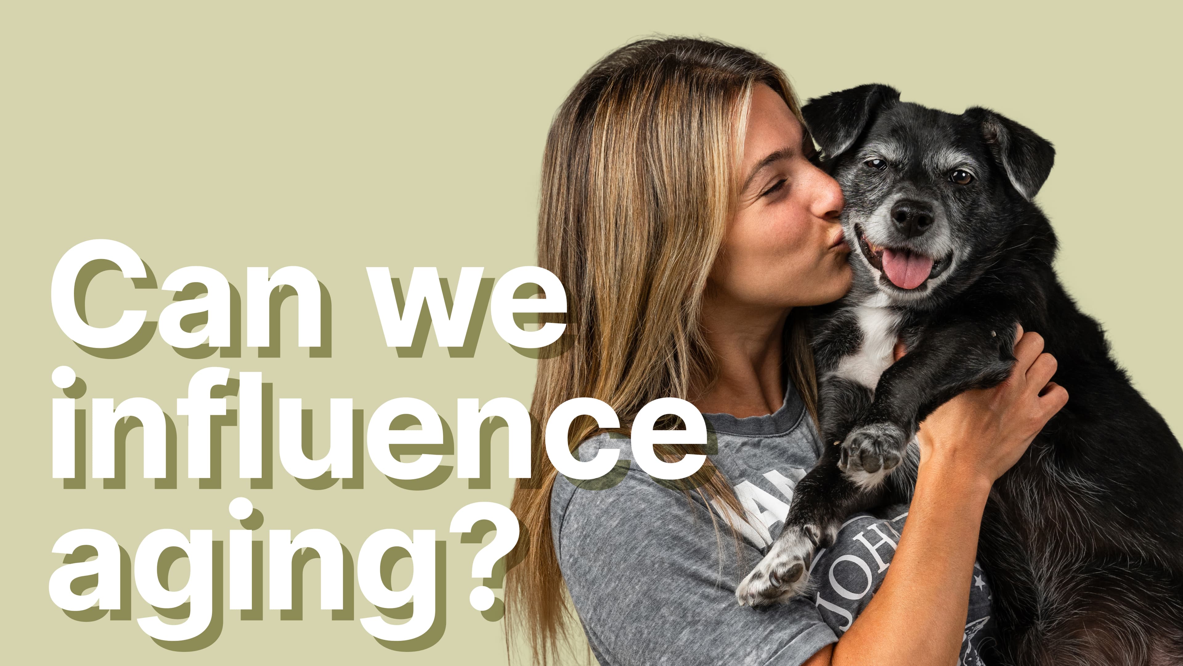 Crash course: Can we influence aging? Learn the fundamentals of aging in dogs