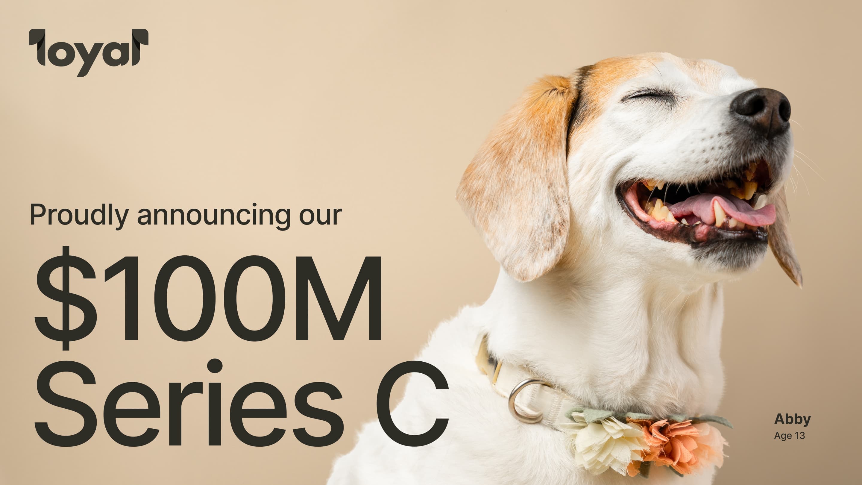 Cover Image for Loyal raises $100M Series C, led by age1, to advance the first canine longevity drug