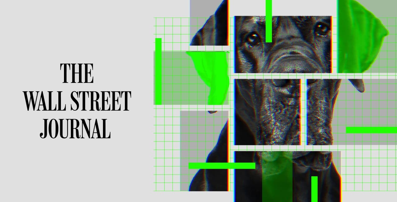 The Clues to Longer Life That Are Coming From Dogs article thumbnail