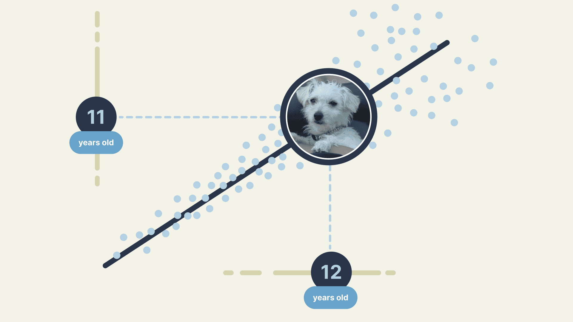 Cover Image for How old is your dog, really? Predicting age through methylation