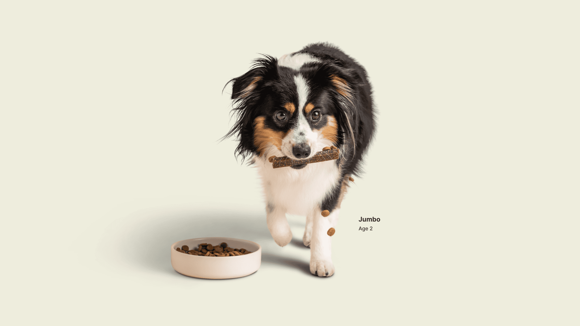 Cover Image for Can science actually make your dog live longer? The Purina study