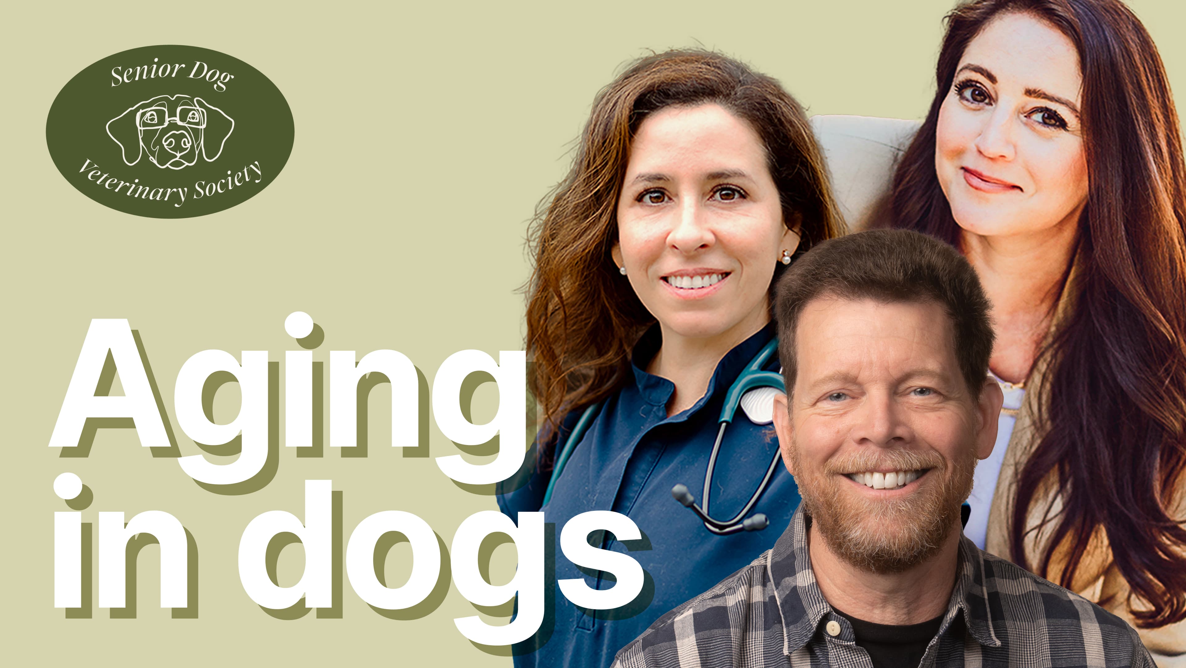 Understanding aging in dogs - From principles to practice
