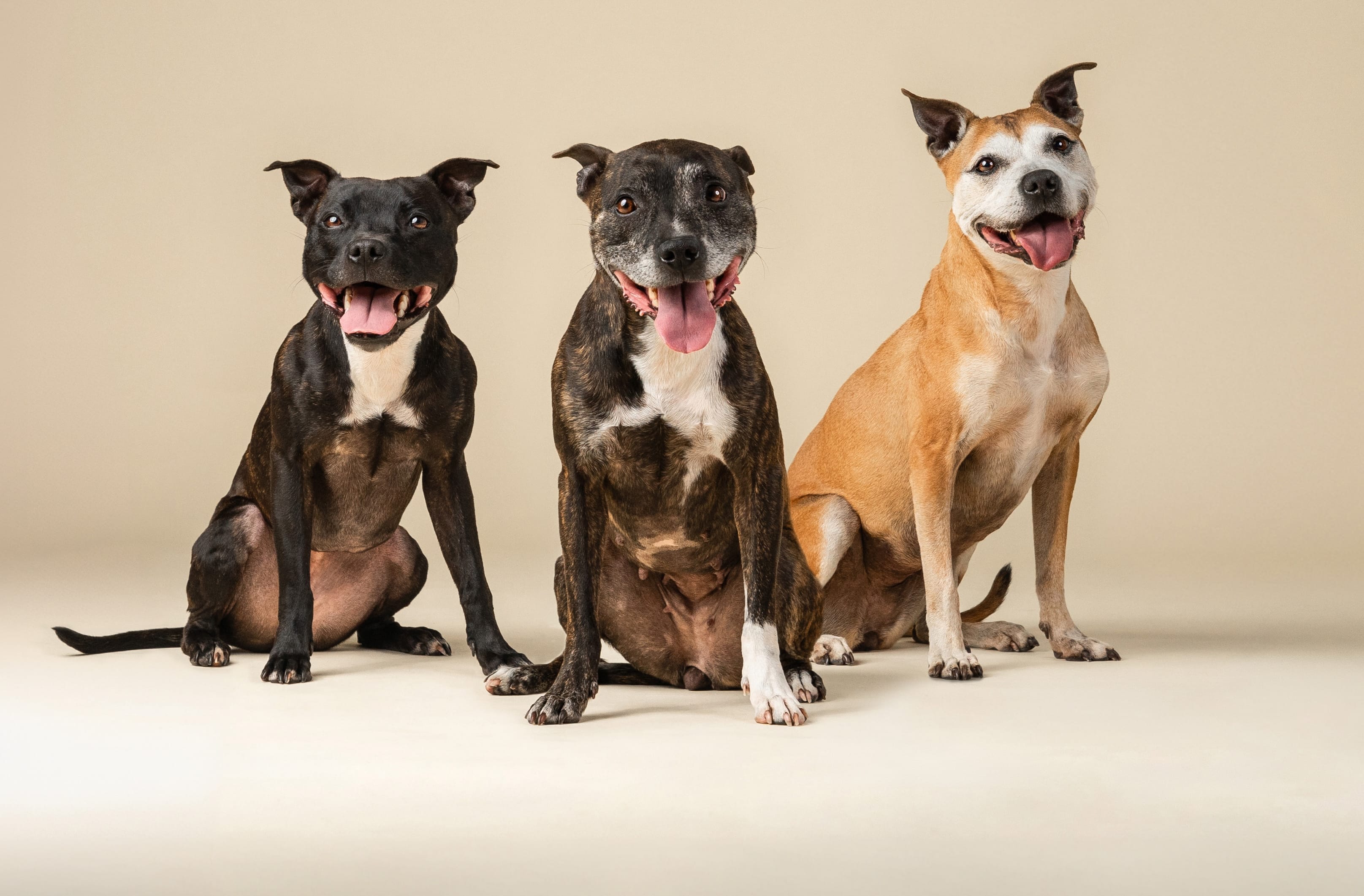 Peeper, Ren, and Eva, ages 3, 8, and 13