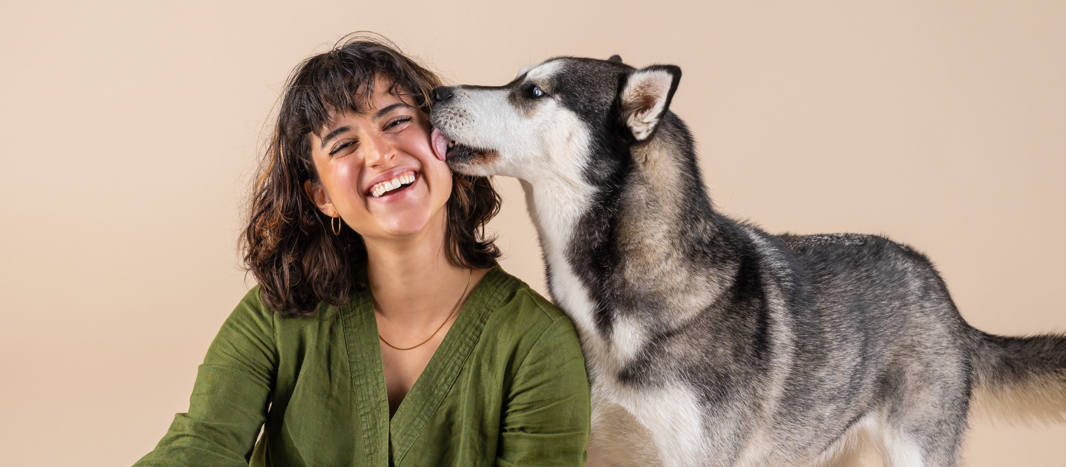 A gray husky breed dog named Sky, age 2, licking a smiling person's face
